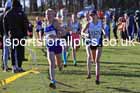Girls under-13s 2025 Northern Cross Country Champs, Tatton Park, Knutsford, Cheshire. Photo: David T. Hewitson/Sports for All Pics